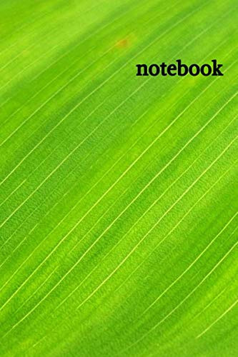 Notebook: Lined Journal, 110 Pages, 6 x 9 inch