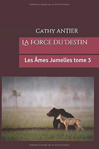 La Force du Destin (Les Âmes Jumelles) (French Edition)