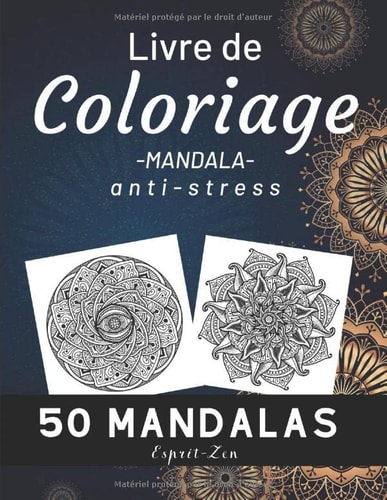Livre de COLORIAGE MANDALA anti-stress 50 MANDALAS: Cahier de coloriage pour adultes et adolescents (Volume 2)/ 50 nouveaux MANDALAS UNIQUES et ... recentrer sur ses émotions (French Edition)