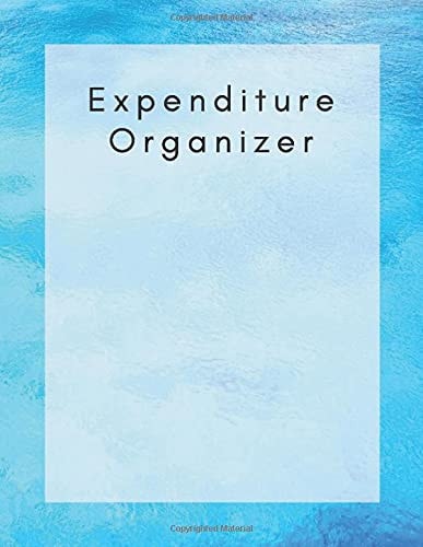 Expenditure Organizer: Best Expenditure Organizer Bill Organizer Notebook Business Money Personal Finance Workbook size 8.5x11