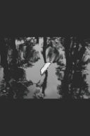 Collected Poetry Unstructured Reflections 1984 - 2017