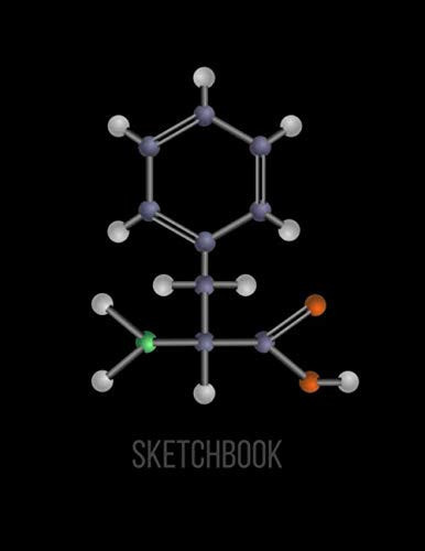 Sketchbook: Science Notebook Journal For Writing Chemistry Equations And Molecular Structure Models Science Professor Gift