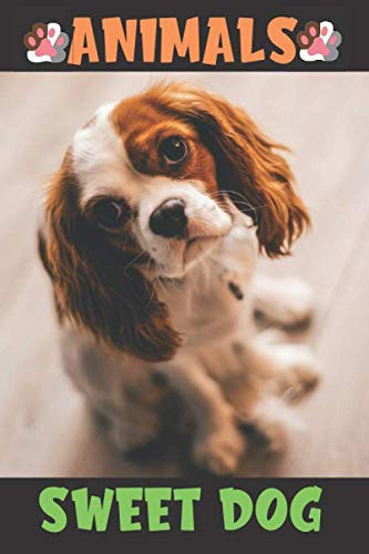 Animals Sweet Dog Unlined Notebook, Journal for Writing and Drawing