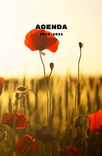 Agenda 2020 2021 Début Juillet 2020 à Fin Juillet 2021 | Agenda Scolaire 2020 2021 Semainier | Agenda 2020 2021 Journalier | Agenda 2020 2021 Floral | Agenda 2020 2021 Femme | Agenda 2020 2021 Fille |agenda 2020 2021 Collège Lycée | 13,3 X 20,3 Cm |