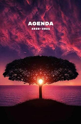 Agenda 2020 2021 Début Juillet 2020 à Fin Juillet 2021 | Agenda Scolaire 2020 2021 Semainier | Agenda 2020 2021 Journalier | Agenda 2020 2021 Paysage | Agenda 2020 2021 Femme | Agenda 2020 2021 Fille |agenda 2020 2021 Collège Lycée | 13,3 X 20,3 Cm |