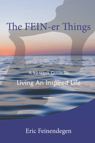 The Fein-er Things A 52-week Guide to Living an Inspired Life