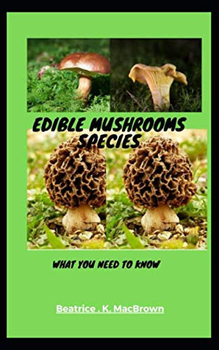 Edible mushrooms Species: What you need to know