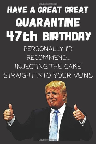 HAVE A GREAT GREAT QUARANTINE 47th BIRTHDAY: Funny Quarantine Humorous Republican Gift Idea For 42th BIRTHDAY In Lockdown And Social Distancing. ... Than A Card. 6x9 Journal Notebook College