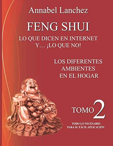 FENG SHUI. LO QUE DICEN EN INTERNET Y... ¡LO QUE NO!: LOS DIFERENTES AMBIENTES EN EL HOGAR (Spanish Edition)