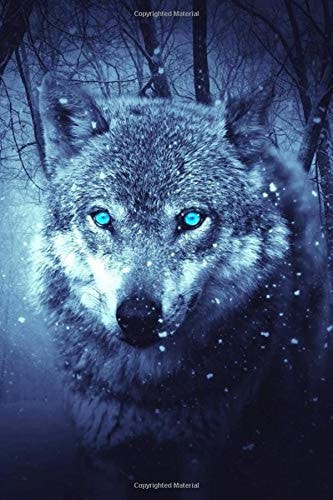 Follow Your Instincts: Wolf Lovers Notebook / Journal (6" X 9")