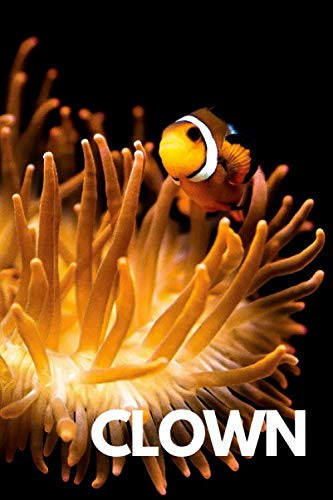 Animal Notebook: Funny Clown Fish, Notebook For School And Study, Journal, Diary, Sketchbook (110 Pages, Unlined, Blank, 6 x 9)