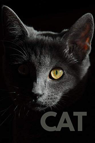Cat Notebook: Animal Notebook For School And Study, Journal, Diary, Sketchbook (110 Pages, Unlined, Blank, 6 x 9)