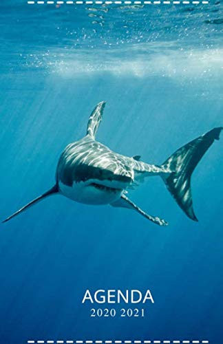 Agenda 2020 2021: Agenda scolaire journalier | Grand Requin Blanc, Poisson, Mer (French Edition)