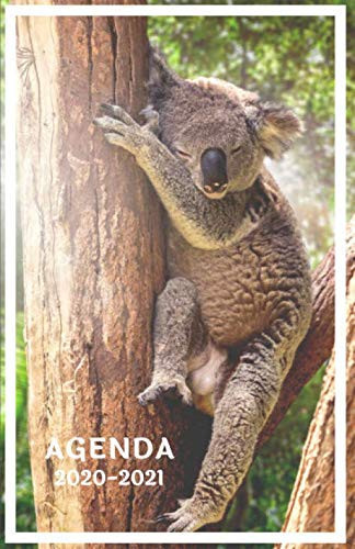 Agenda 2020 2021: Agenda Scolaire Koala | Etudiante Collège Lycée Université ( Planification journalière de Septembre 2020 à Août 2021) (French Edition)