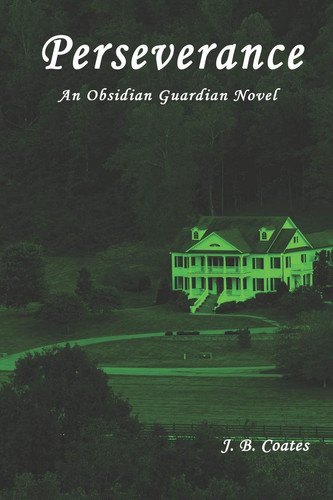 Perserverance An Obsidian Guardian Novel