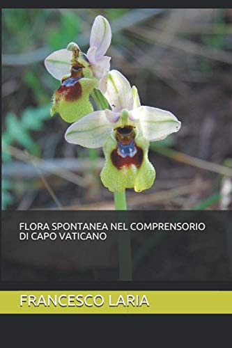Flora spontanea nel circondario di Capo Vaticano