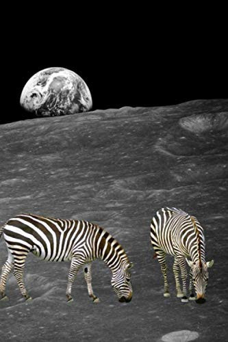 Zebra Planet Notebook: 6 x 9 Lined Journal