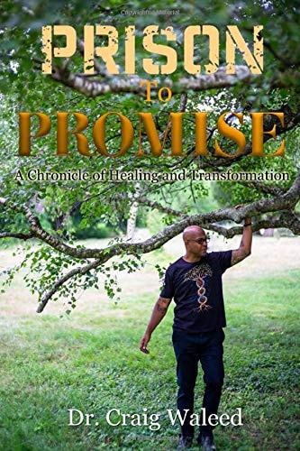 Prison to Promise A Chronicle of Healing and Transformation
