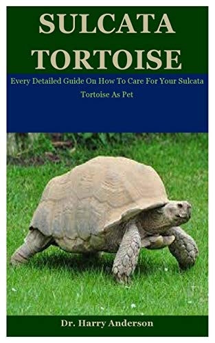 Sulcata Tortoise Every Detailed Guide On How To Care For Your Sulcata Tortoise As Pet