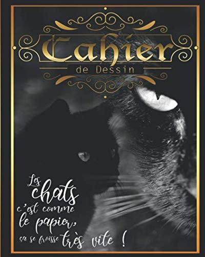 Cahier de dessin "Les chats c’est comme le papier, ça se froisse très vite !":  Carnet de croquis ; grand format pour dessin, peinture, aquarelle, ... les amoureux des chats ! (French Edition)