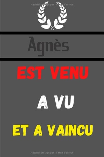 Agnès: Carnet de note personnalisé avec Nom journal intime Page lignées numérauté : format 6*9(15,2 X 22,8) 120 page journal Parfait cadeau réussite examen (French Edition)