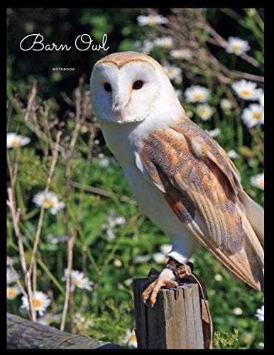 Barn Owl Notebook: 120 Page Lined Notebook - Matte - Owl flowers spring summer Design Journal Large (8.5 x 11)