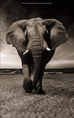 2021: Agenda 2021 Semana Vista, Planificador, Organizador, Diario, Agenda semanal 12 meses A5, Cubrir con elefante en África. (Spanish Edition)