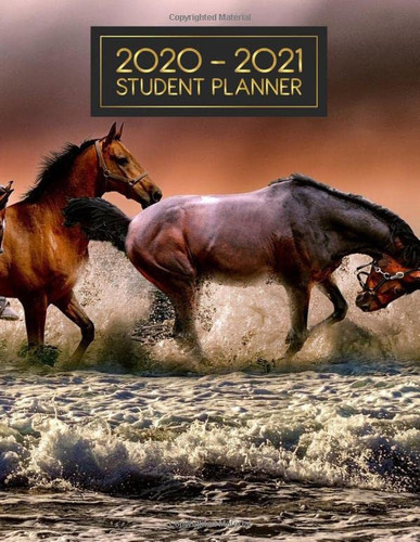Student Planner For Middle School: Assignment, Project, Study and Agenda for School, Home and Work | 2020-2021 Academic Weekly, Monthly & Yearly Planner (Large, 8.5 x 11) - Horses Lover Cover