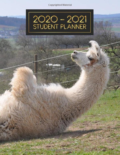 Student Planner For Teen Girl: Assignment, Project, Study and Agenda for School, Home and Work | 2020-2021 Academic Weekly, Monthly & Yearly Planner (Large, 8.5 x 11) - Cute Llama Cover