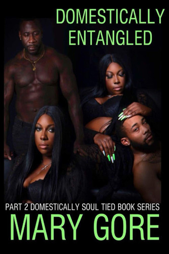 Domestically Entangled Part 2 of the Domestically Soul Tied Book Series