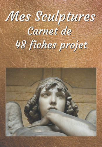 Mes Sculptures: Carnet de 48 fiches projet à remplir | Journal de suivi | Cahier de suivi de Sculptures | 100 pages | 7 x 10 pouces | Loisirs Créatifs (French Edition)