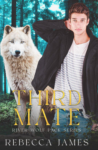 Third Mate An MM Paranormal Shifter Mpreg Romance