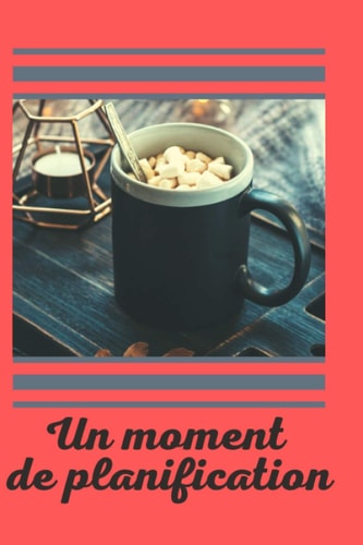 un moment de planification: Carnet de ( 15 x 22 cm ) Un organisateur de 186 pages ( 90 J ) (French Edition)