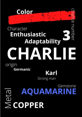 CHARLIE: The mysteries of your first name at a glance | its origin lucky number color metal gemstone | lined notebook | an original gift