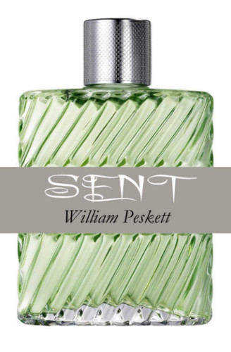 Sent: A short story (Short story singletons)