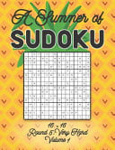 A Summer of Sudoku 16 X 16 Round 5 Very Hard Volume 1: Relaxation Sudoku Travellers Puzzle Book Vacation Games Japanese Logic Number Mathematics Cross Sums Challenge 16 X 16 Grid Beginner Friendly Very Hard Level For All Ages Kids to Adults Gifts
