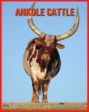 Ankole Cattle Amazing Pictures & Fun Facts on Animals in Nature