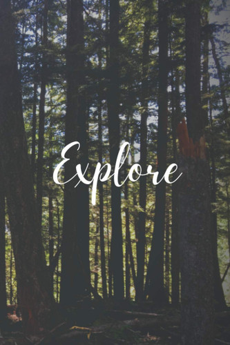 Explore Notebook