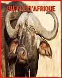 Buffle d'Afrique Images Etonnantes & Informations Amusantes Concernant les Animaux dans la Nature