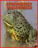 Afrikanischer Ochsenfrosch Tolle Bilder & Wissenswertes über Tiere in der Natur