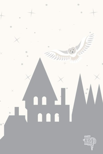 Notebook: Magical Castle Owl Lined Blank Notebook 120 Pages 6x9in