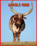 Ankole-Rind Tolle Bilder & Wissenswertes über Tiere in der Natur