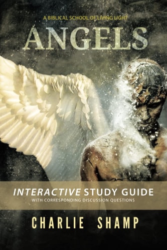Angels Workbook A Biblical School of Living Light