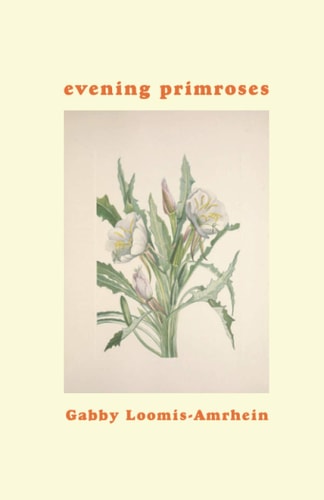 Evening Primroses