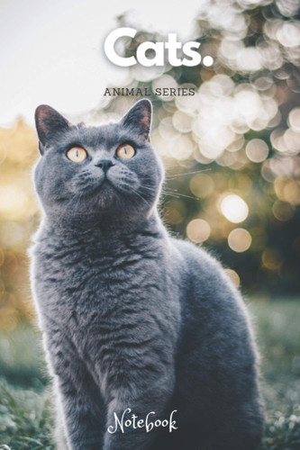 Cats Notebook - beautiful, sweet cats: Collect Them All (Unique Cats Notebook Series)