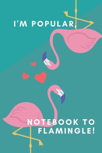 NOTEBOOK TO FLAMINGLE: Notbooks line journal for school paper 6*9 inc 120 page age 4-6 to adults