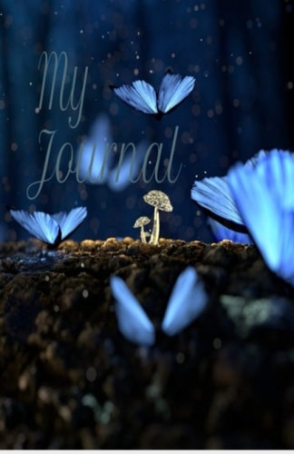 My Journal