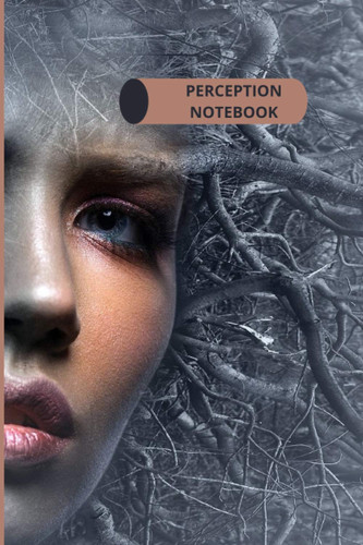 Perception Notebook
