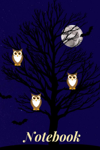 Notebook: Journal notebook, owls and bats on a moonlit night, 120 numbered pages.