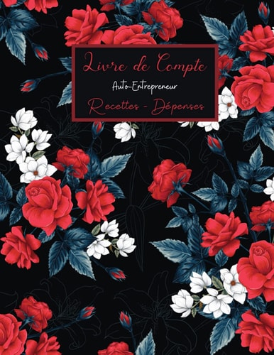Livre de Compte: Entrepreneur | Recettes - Dépenses | Carnet De Compte Micro-Entreprise (French Edition)